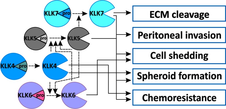 Fig. 3