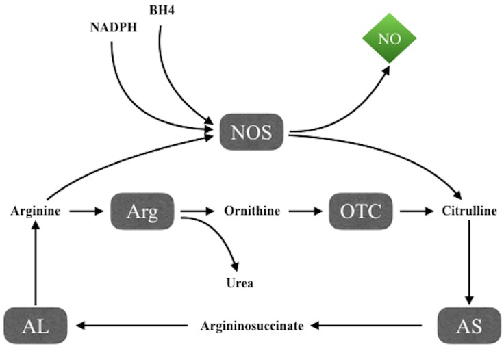 FIGURE 1