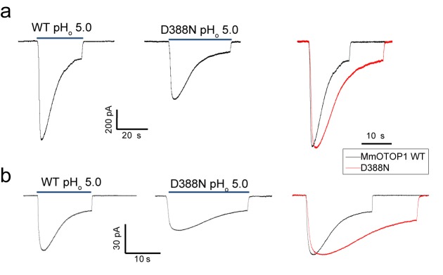 Figure 4—figure supplement 2.