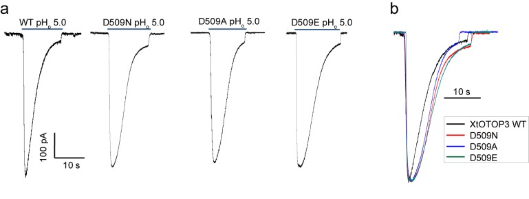 Figure 4—figure supplement 1.