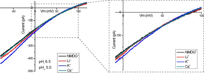 Figure 1—figure supplement 1.