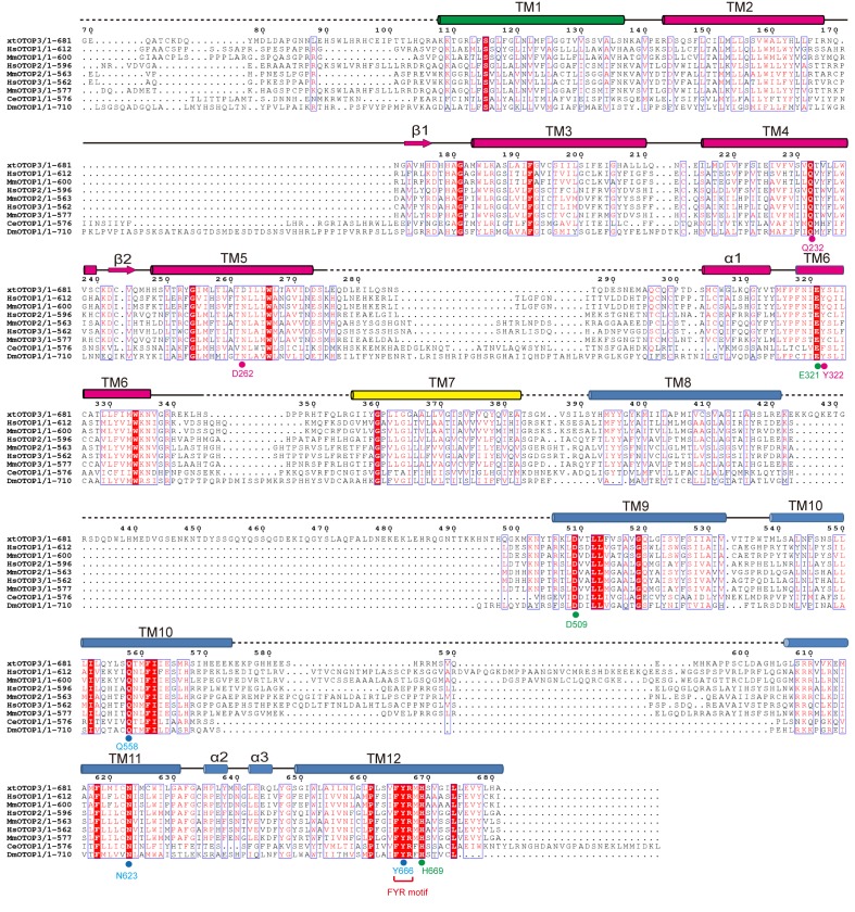 Figure 2—figure supplement 3.