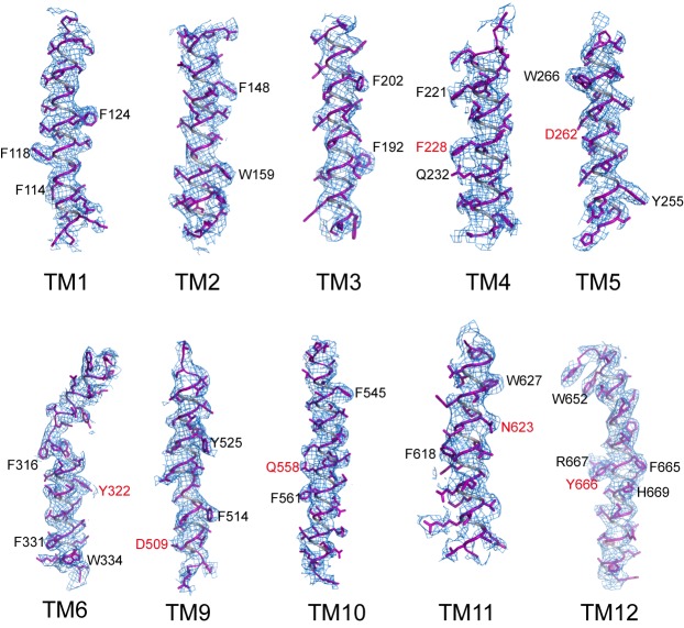 Figure 2—figure supplement 2.