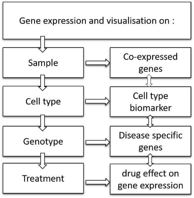 Figure 6