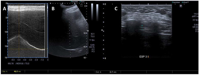 Figure 2.