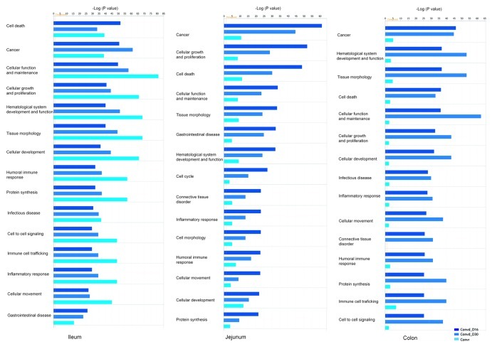 graphic file with name gmic-4-118-g2.jpg