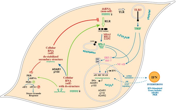 FIGURE 6.