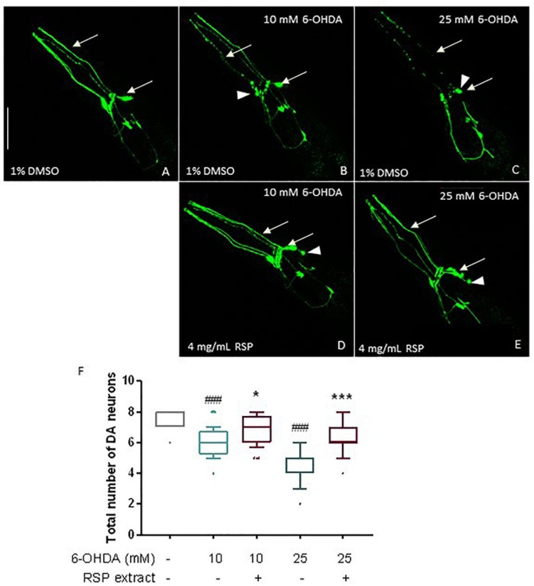 FIGURE 3