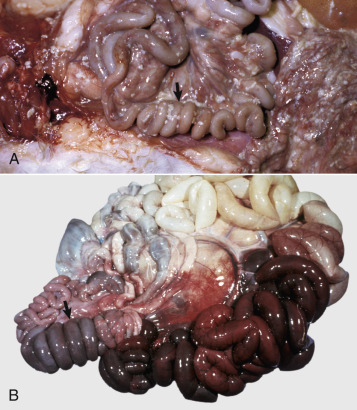 Figure 7-101