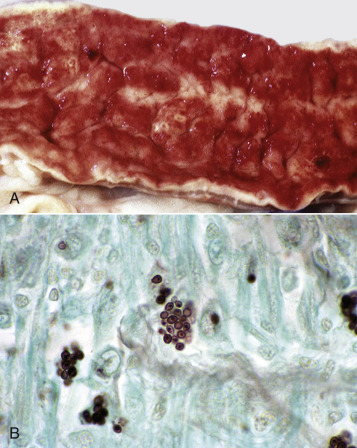 Figure 7-182
