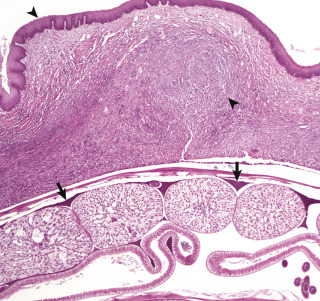 Figure 7-59