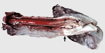 Figure 7-151