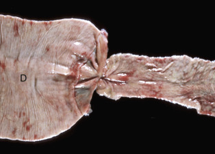 Figure 7-97