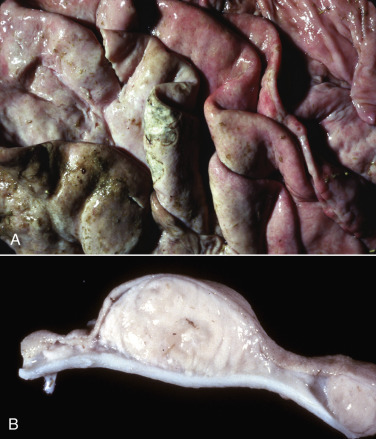 Figure 7-90