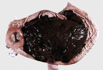 Figure 7-80