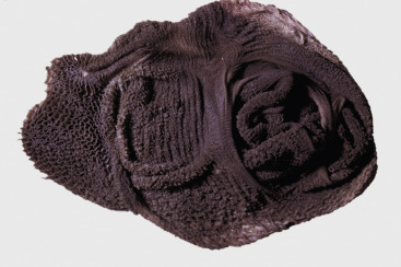 Figure 7-154