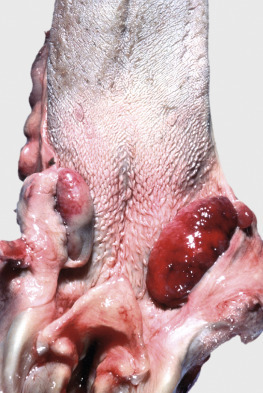 Figure 7-27