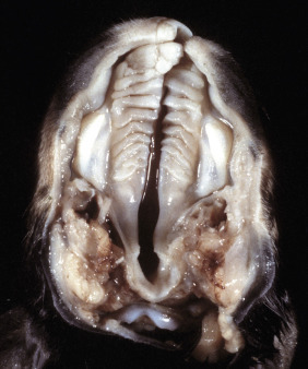 Figure 7-32