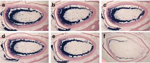 Fig. (2)