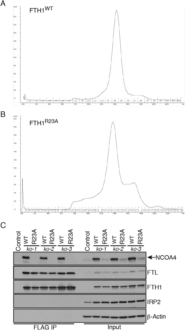 Figure 2—figure supplement 1.