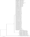 Fig. 3: