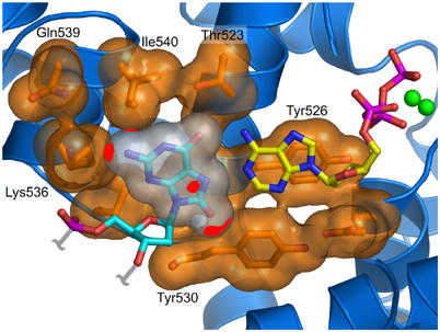 Figure 5