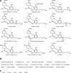 <b>FIG. 2.</b>