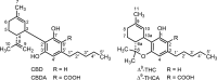 <b>FIG. 1.</b>