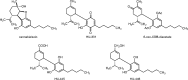 <b>FIG. 3.</b>