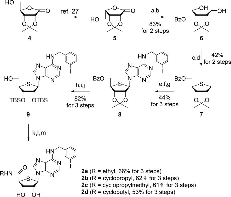 Scheme 1