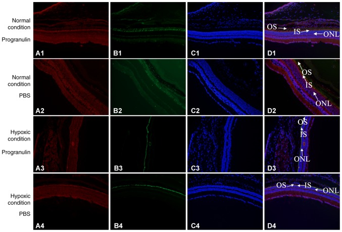 Figure 3.