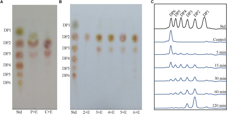 FIGURE 4