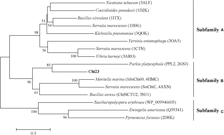 FIGURE 1