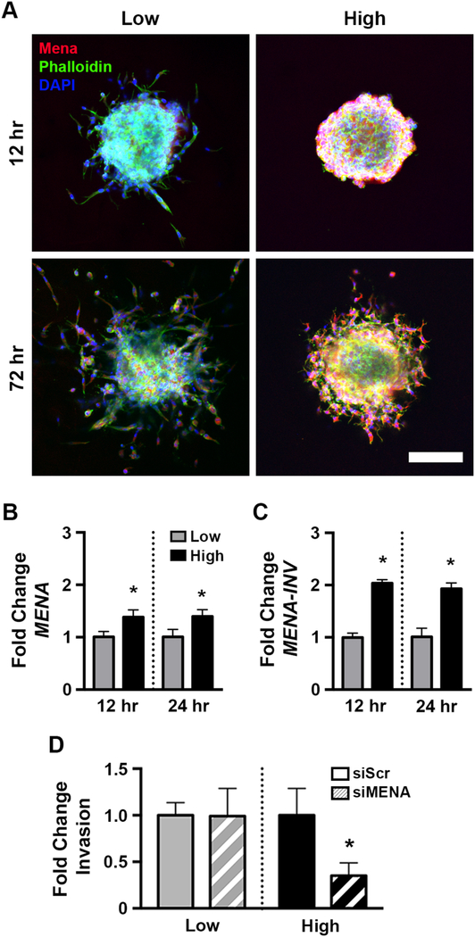 Figure 3: