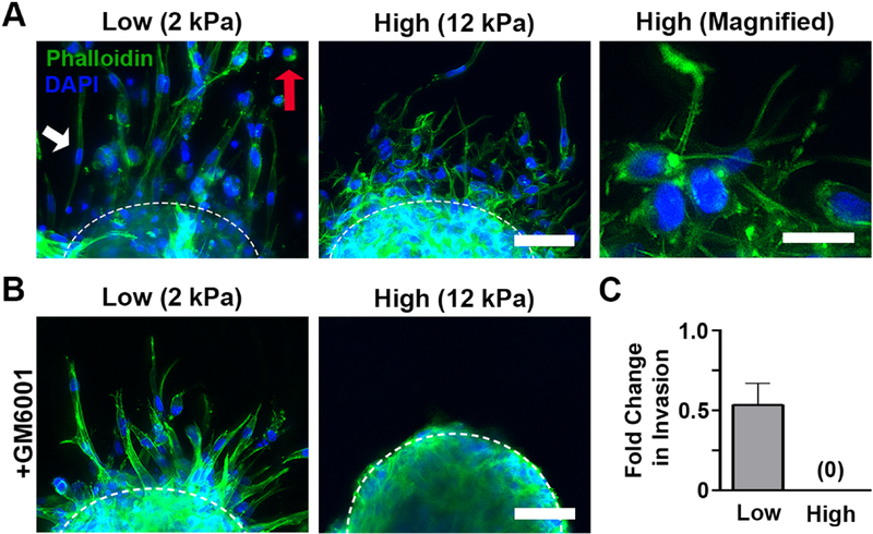 Figure 2: