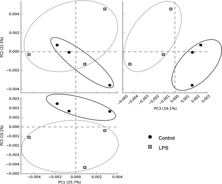 FIG 2