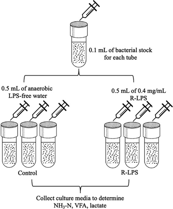 FIG 6