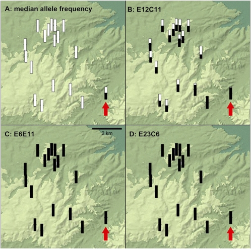 Fig. 4.