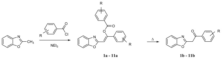 Scheme 2