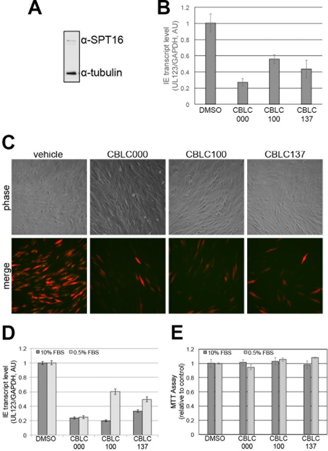 FIG 2