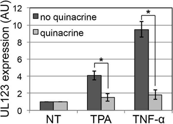 FIG 1