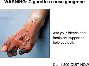 graphic file with name 12971_2016_88_Figb_HTML.gif