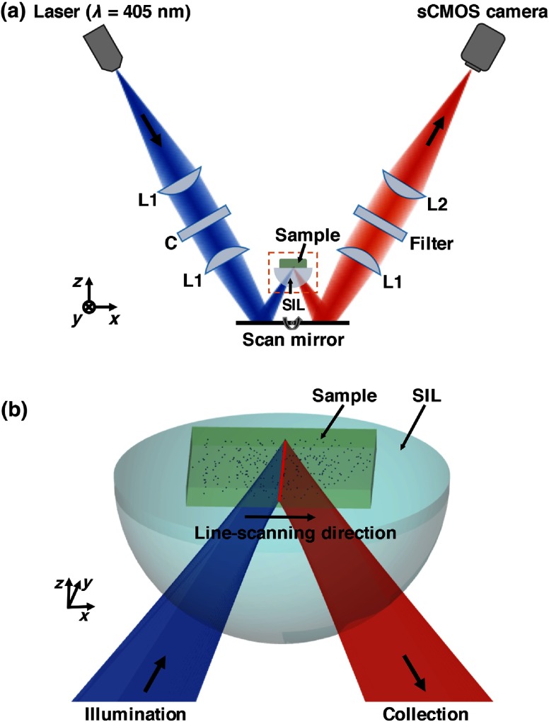 Fig. 1