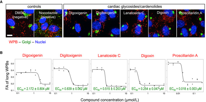 FIGURE 3