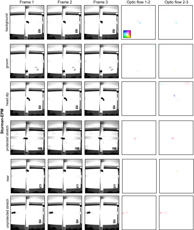 Figure 2—figure supplement 5.