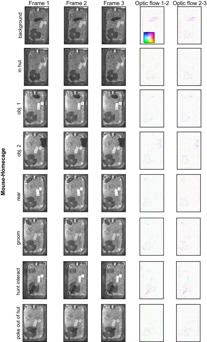 Figure 2—figure supplement 3.