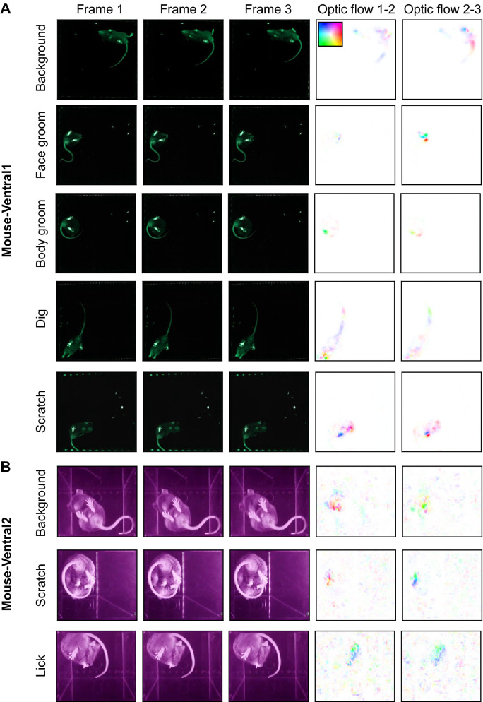 Figure 2—figure supplement 1.