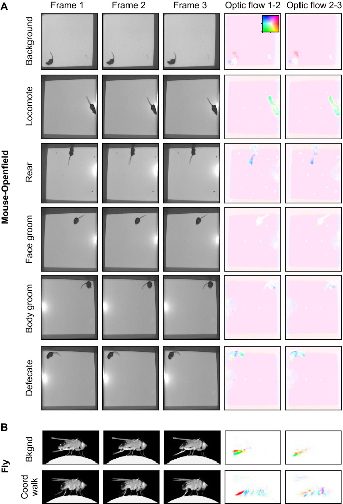 Figure 2—figure supplement 2.