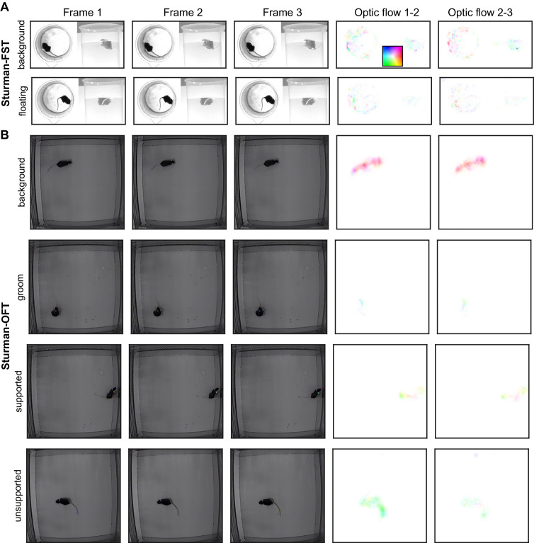 Figure 2—figure supplement 6.