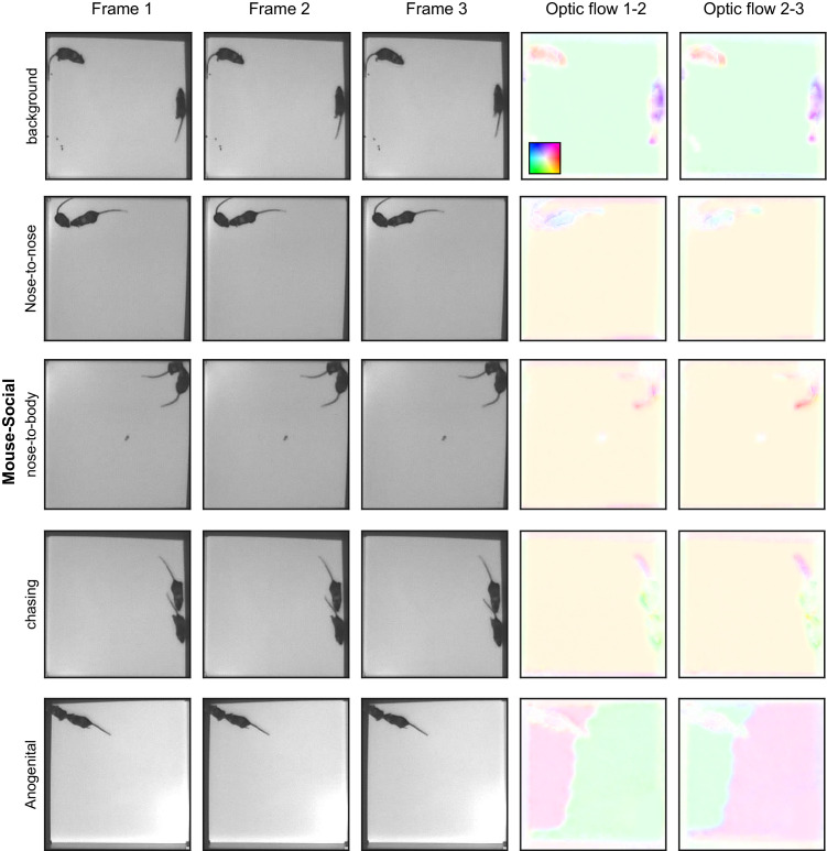 Figure 2—figure supplement 4.